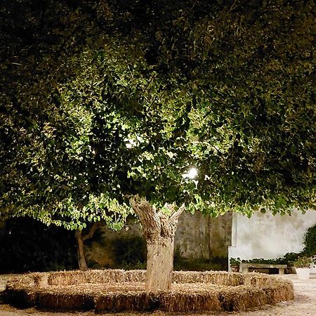 Masseria San Martino Polignano a Mare Exterior photo