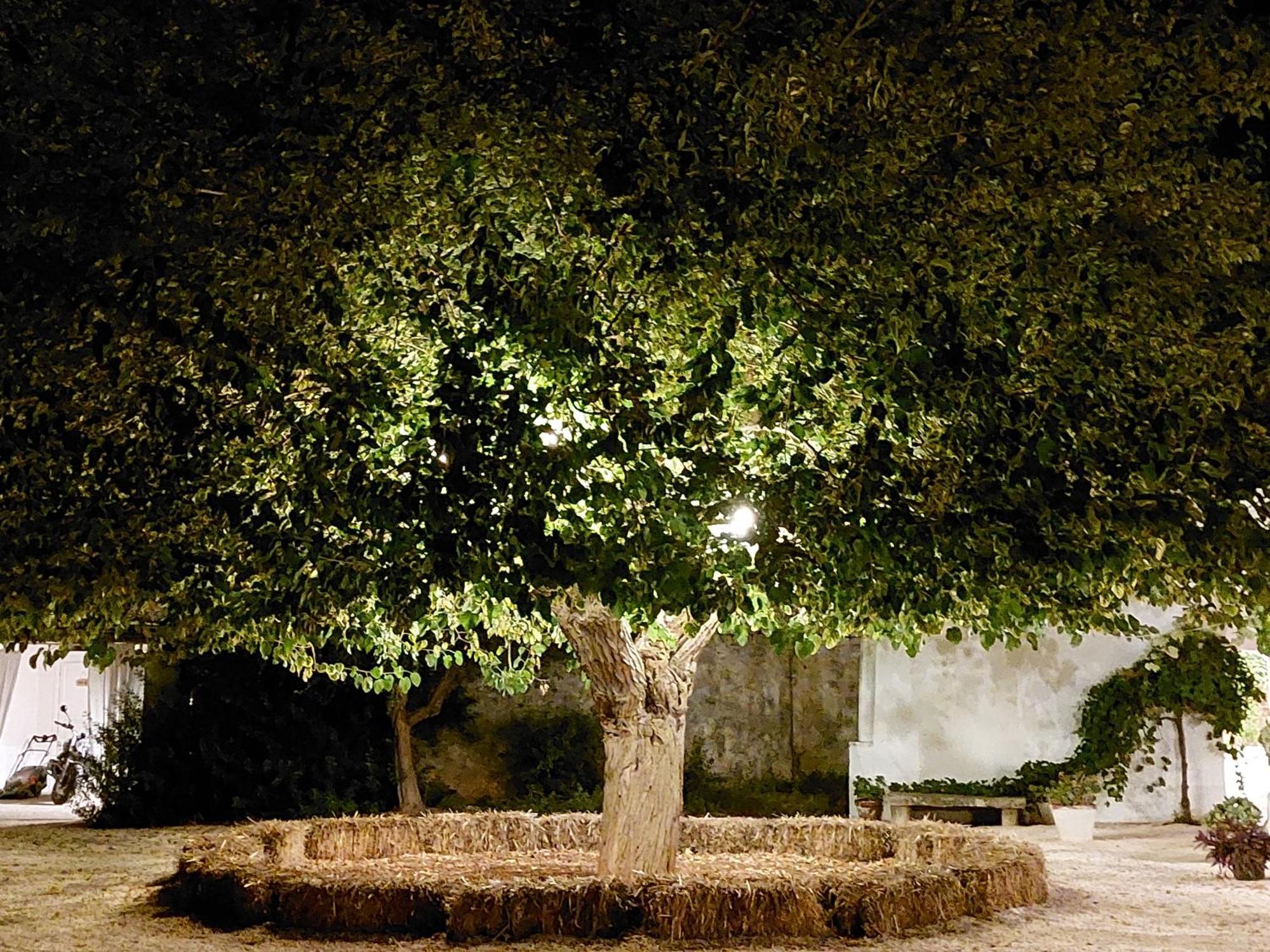 Masseria San Martino Polignano a Mare Exterior photo