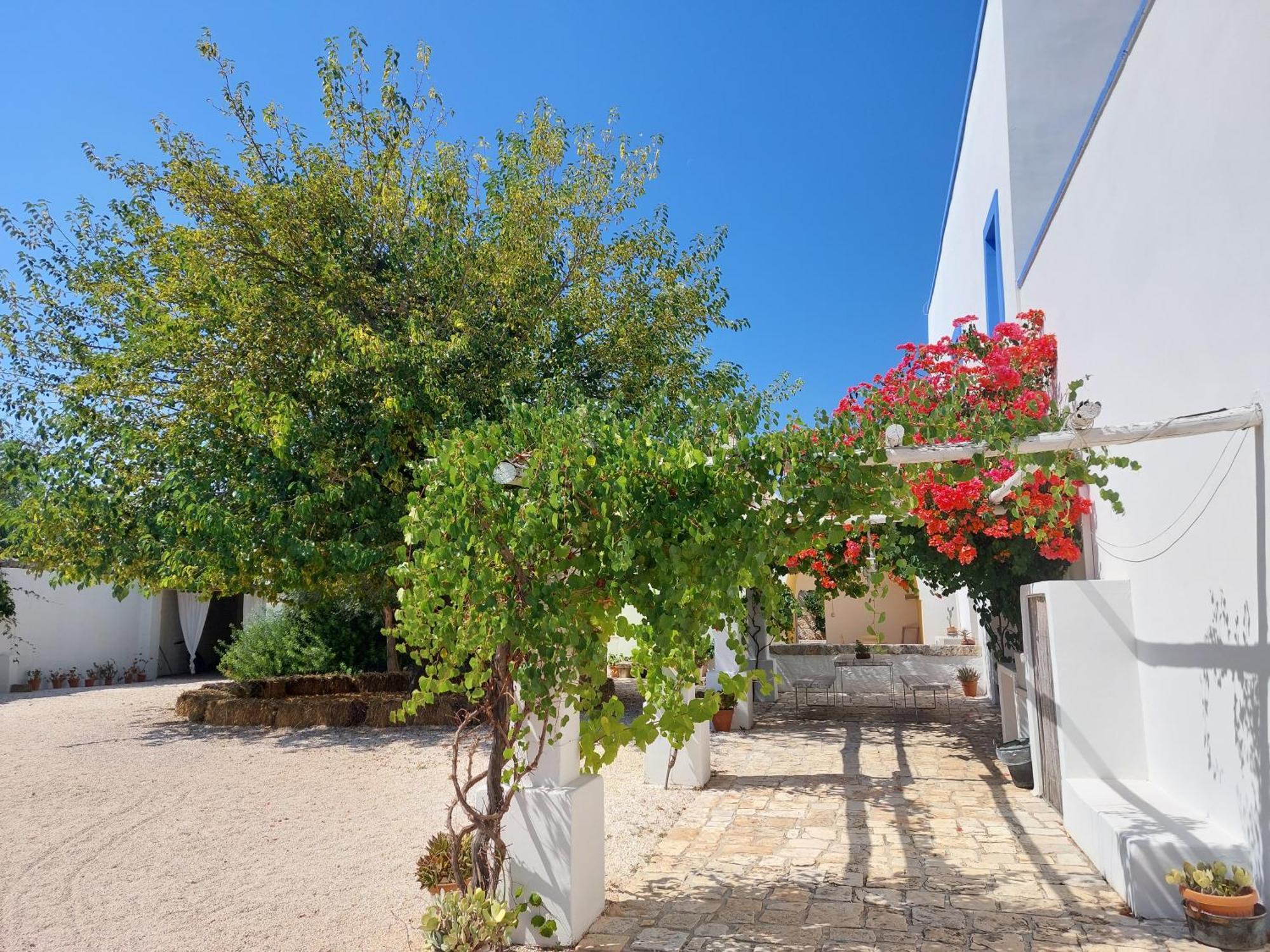 Masseria San Martino Polignano a Mare Exterior photo